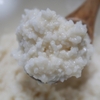麴菌に関する雑学！