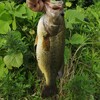 【汗だくの近場釣行！】