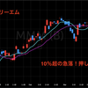 なけなしの米ドルで買い出動（MMM)