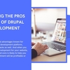 Comparing the Pros and Cons of Drupal Web Development