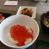 いくら丼って本当に美味しいですねー