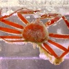 【カニ？】『Crabhouse』が配信開始【まとめ】