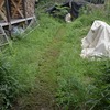 やっぱり、草刈り