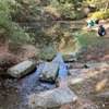 水草の池（大阪府吹田）