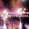 おぢやまつり大花火大会2023の穴場や見どころは？良い席が取りやすい花火大会