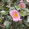 自分を整えることは、一人でしなくてもいい。