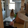 視線の先には？