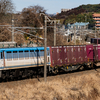 2025/01/26 1063レ EF81 454号機