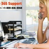 Microsoft 365 Support