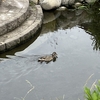 2024/6/25　あと半年でやりたいこと