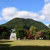 亀山公園のツワブキ