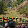 少し遅かった根上山の「大漁桜」の後編