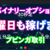 バイナリーオプション「土曜日も稼げます！」ブビンガ取引