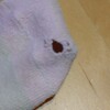 いつもの②