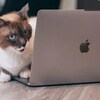 NordVPNの魅力とは？ 速度・安全性・コスパに優れたVPNサービスを徹底解説