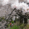 桜木花道