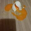 割れた生卵の掃除方法
