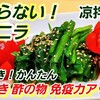 "【やみつきニラ】とまらない！中華風にらの和え物(凉拌韮菜)作り置き ニラ大量消費 無限ニラレシピ 酢の物 ヘルシー 中華前菜" を YouTube で見る