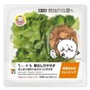 セブンイレブンから「草むしりサラダ オニオンポテト＆グリーンサラダ」が新登場！「ちいかわ」とコラボした新商品です