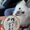 【旅】夏休みは福島へ