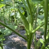 雑用が一段落しました・・・「ふ〜っ」
