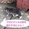 有名大学が2つもあるプロビデンスの街紹介