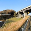 季節感がまるで秋　琴電羽間駅近くで