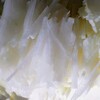 大根がいっぱいある時〜ずぼらの場合〜