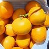 収穫