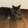 昼の顔、夜の顔