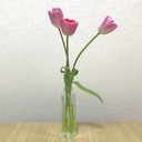 ACを克服したい当事者記録