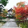 紅葉の京都 混雑具合