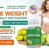 Garcinia Bodyblast: Burn Fat Naturally with this| Exclusive Trial Offer