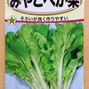 べか菜の半水耕栽培に挑戦します。間引きながら固くなる前に収穫をしましょう