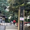 改装中の旧古河邸：旧古河庭園
