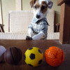 おニュー！