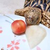 リクガメ　じょーたろーとさくらんぼ