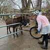 土曜日　猪苗代移動