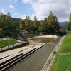 ぶらり散歩道の花②　維新百年記念公園