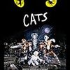 What Went Wrong With The Movie "CATS"?