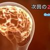 サイエンスＺＥＲＯ「認知症の原因・治療法」最新研究に迫る！