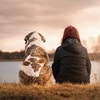 【正義感の暴力】「みんなの動物園　中岡と保護犬企画」から考える配慮の難しさ