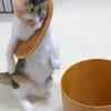 朝から早速ドジ