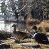 敷島公園〜伊香保