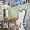 茨城県ご当地ソフト#6！神栖市産ピーマン100％使用「ピーマンソフト」♡