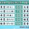 【衝撃】改正戸籍法で"キラキラネーム"が違法に!? 2025年から全国民に名前登録義務化