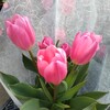 PEGレシオについて