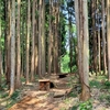 ＭＴＢパーク　造成状況
