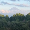 今朝の景色