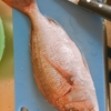 真鯛のとろろ昆布締め☆